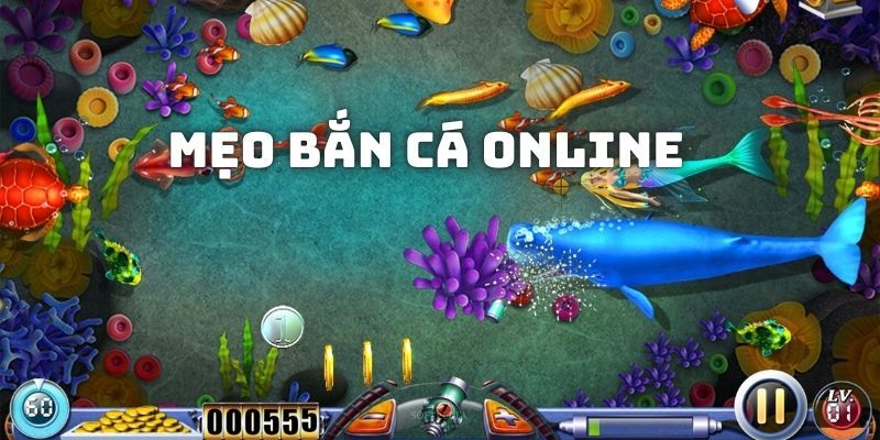 Thông tin liên quan về game mèo bắt cá